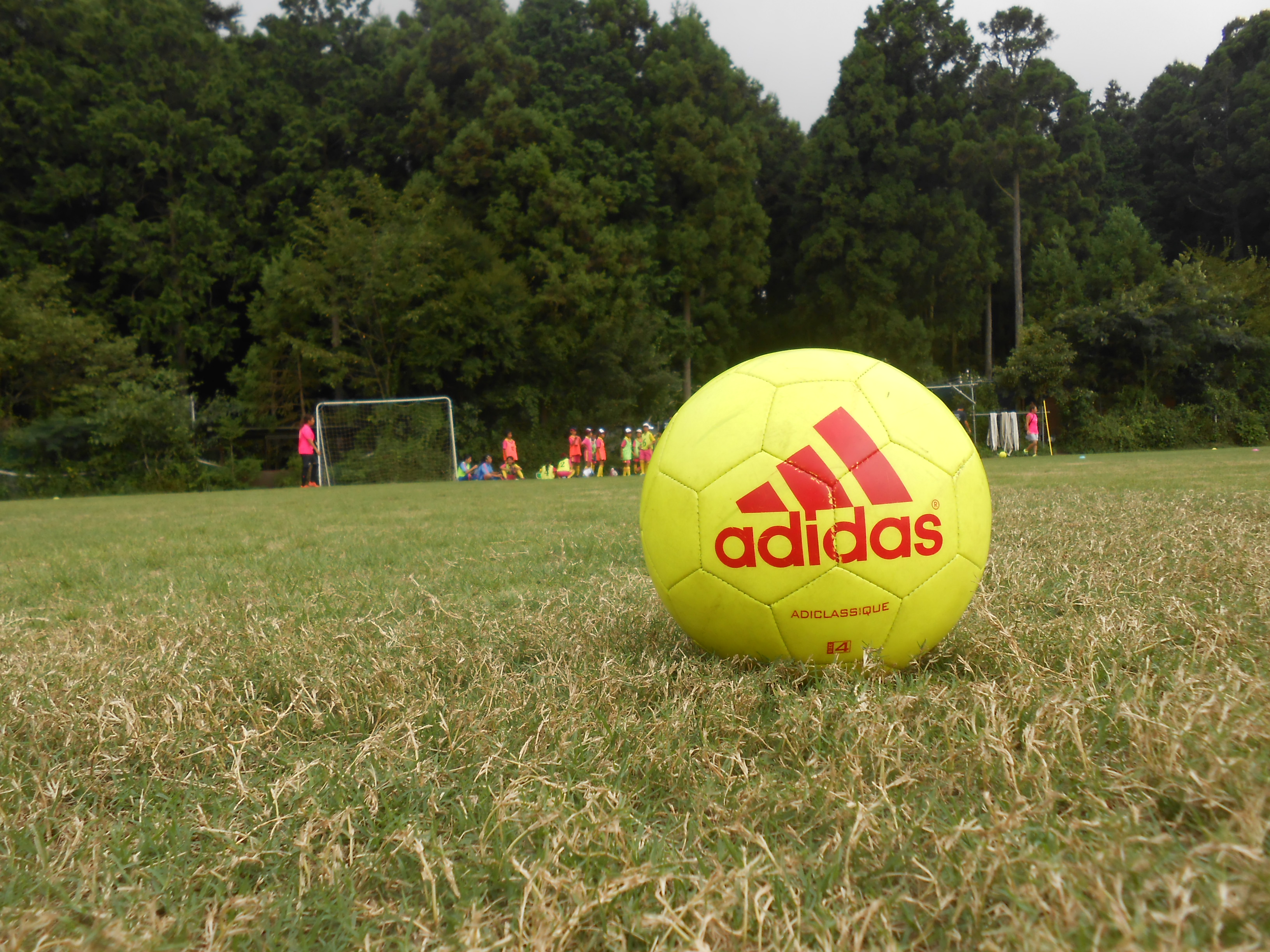 【仲町台】新規開校!無料体験会実施