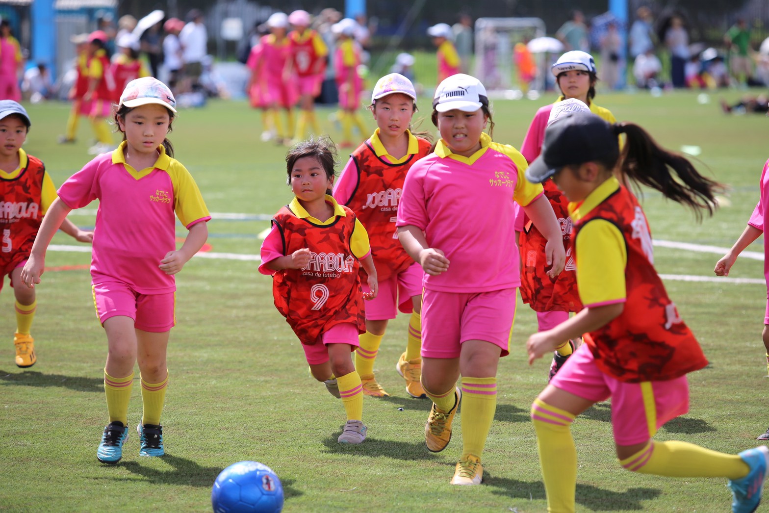 【茅ヶ崎円蔵エリア】無料体験会 11/18土11/25土12/3日